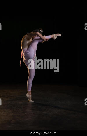 Ballet dancer posing on her tiptoe while rising a leg in studio Stock Photo