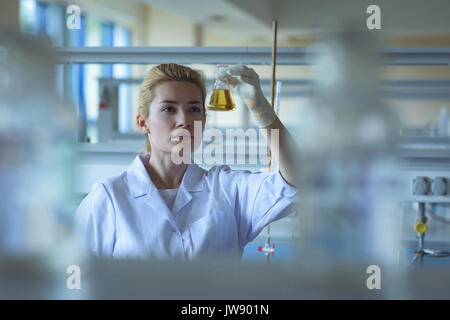 Attentive university student doing a chemical experiment in laboratory Stock Photo