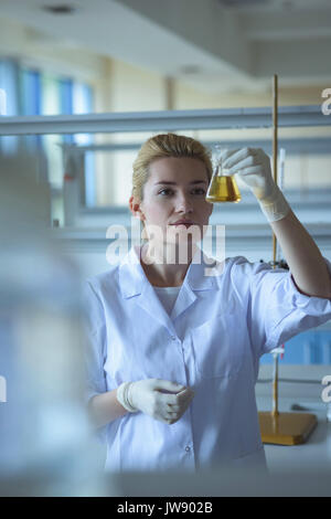 Attentive university student doing a chemical experiment in laboratory Stock Photo