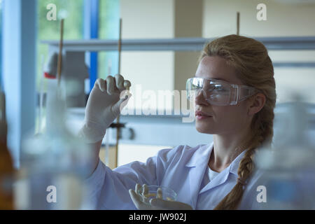 Attentive university student doing a experiment in laboratory Stock Photo