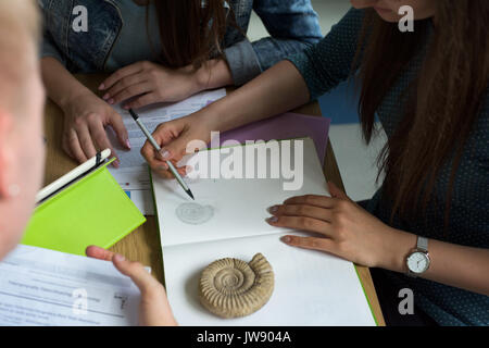 High angle view of students practicing diagram while studyhing at desk in classroom Stock Photo