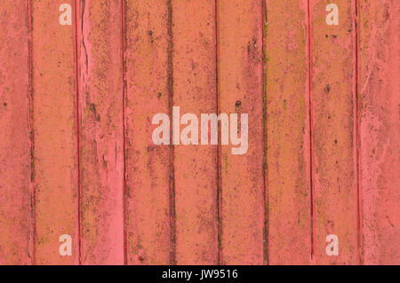 shabby chic worn faded peeling painted panels made from wood and weather worn with faded paintwork. Stock Photo