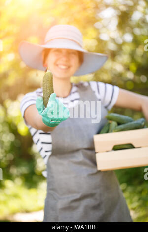 Brunette farmer with cucumbers box Stock Photo