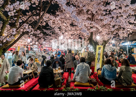 KYOTO, JAPAN - APRIL 7, 2017: Japan crowds enjoy the spring cherry blossoms in Kyoto by partaking in seasonal night Hanami festivals in Maruyama Park  Stock Photo