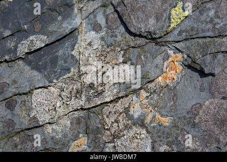 Lichen covered slate rock in an abandoned slate quarry in North Wales. The lichen is various colours and growing on the slate spoil. Stock Photo