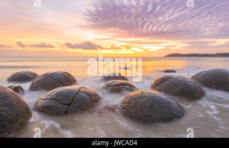 Moeraki boulders, at sunrise, geological formation, Koekohe Beach, Moeraki, East Coast, Otago, South Island, New Zealand Stock Photo