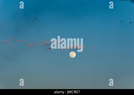 Full moon and clouds. Stock Photo