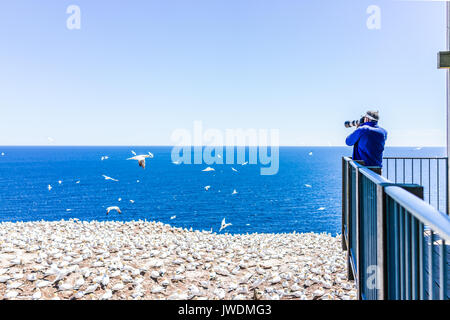 Perce, Canada - June 6, 2017: Photographer man taking pictures of Gannet birds colony nesting on cliff on Bonaventure Island in Quebec, Canada by Gasp Stock Photo