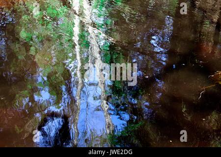 Reflections of a birch tree in a small river. The river flows and in reflection is similar to a picture which was painted by paints. Stock Photo