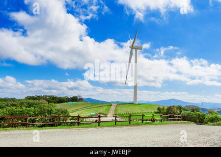 Wind turbines generating electricity on green meadow. Stock Photo
