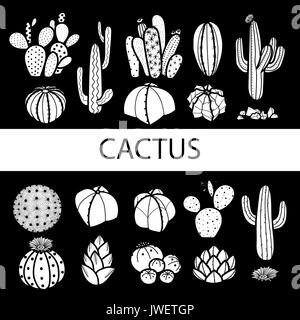 Set of isolated cactus and succulents in white plane. Hand drawn style. Vector illustration. Stock Vector