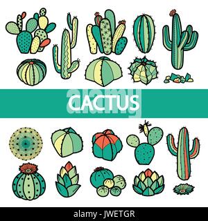 Set of isolated colorful cactus and succulents in black outline. Hand drawn style. Vector illustration. Stock Vector