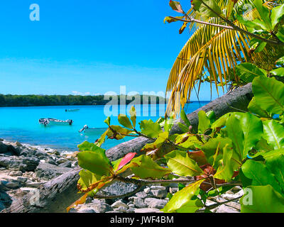 The view of the Catalina island, Dominican Republic Stock Photo