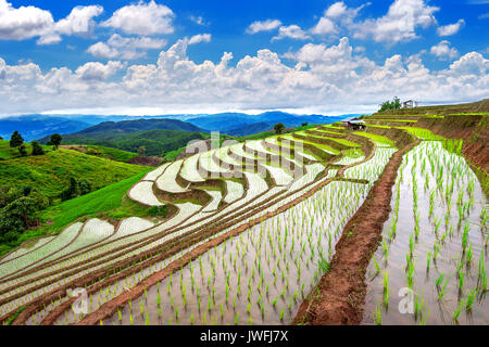 Terrace rice field of Ban pa bong piang in Chiangmai, Thailand. Stock Photo