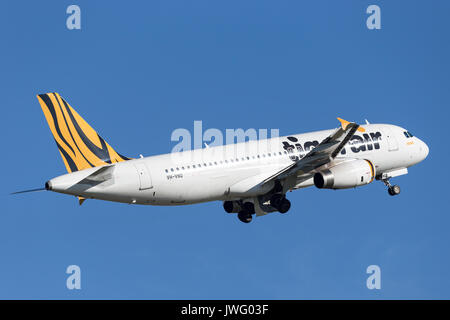 Tiger Airways (Tigerair) Airbus A320 aircraft Stock Photo - Alamy