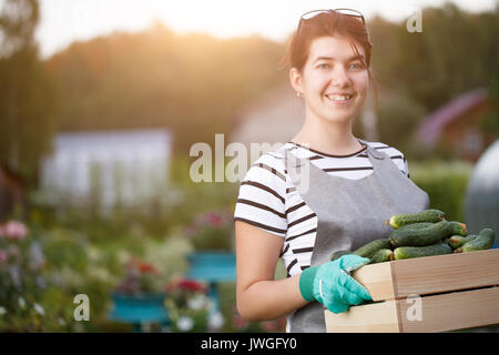 Girl with harvest of cucumbersi Stock Photo
