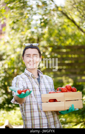 Farmer with box of tomato Stock Photo