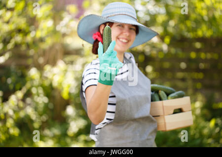 Agronomist in hat holds cucumber Stock Photo