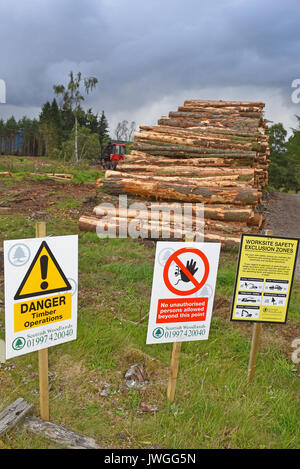 Recently felled timber ready stacked and awaiting collection to be taken for processing. Stock Photo