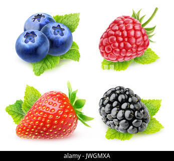 Collection of isolated berries with mint. Blueberries, strawberry, raspberry and blackberry with mint leaf isolated on white background with clipping  Stock Photo