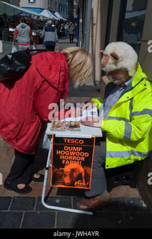 Merthyr Tydfil, Mid Glamorgan, UK. 12th August 2017. Brian Lamb 80, sets up a petition stall in the High Street,  Merthyr Tydfil, on a National day of action asking Tesco to stop buying from Hogwood pig farm in Warwickshire following revelations by animal charity Viva of extreme cruelty, involving, cruel farrowing crates, routine tail mutilations, sick and dying pigs left in a gangway and piles of decaying and maggot-infested piglets left to rot in a wheelbarrow. © Graham M. Lawrence/Alamy Live News Stock Photo