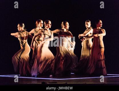 Edinburgh, UK. 12th Aug, 2017. Yo, Carmen brings together eight dancers in Maria PagŽsÕ flamenco choreography. Seven musicians Ð featuring violin and cello alongside flamenco guitarists and singers Ð provide a live soundtrack of BizetÕs familiar opera tunes, the popular songs that inspired them, and gripping original flamenco. Yo, Carmen plays at the Edinburgh Playhouse between 18 and 22 August at the Edinburgh Playhouse Credit: Rich Dyson/Alamy Live News Stock Photo