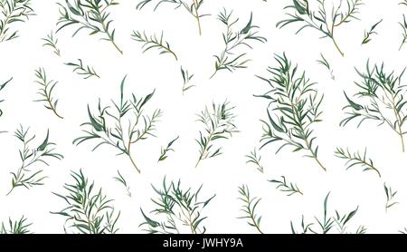 Eucalyptus seamless pattern of different willow tree foliage natural branches green leaves tropical in watercolor style. Vector decorative delicate el Stock Vector
