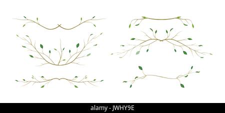 Tree branch twig designer art different foliage natural branches, leaves anniversary text page divider elements watercolor style set collection. Vecto Stock Vector