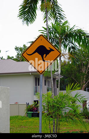 A yellow kangaroo crossing road sign in a residential neighborhood in Australia Stock Photo