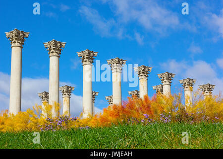 National Capitol Columns in the early morning. Historic site in the park in autumn, Washington DC, USA. Stock Photo