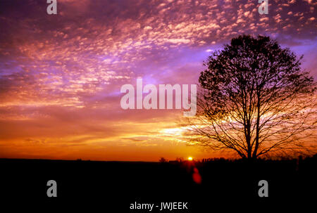 Brilliantly lit sunset tranquil sunset sunrise sky landscape horizon © Myrleen Pearson Stock Photo