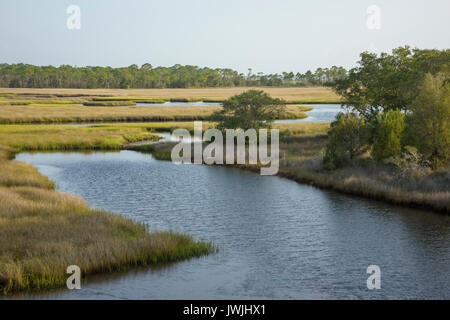 Salt marsh lining Fish Creek, Big Bend Seagrasses Aquatic Preserve, Florida Stock Photo