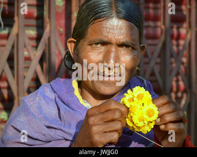 Elderly Indian Adivasi woman with three tribal nose rings poses for the camera. Stock Photo