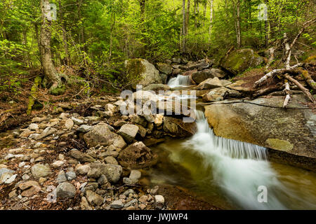 Dry Brook in spring along the Falling Waters Trail, Grafton Co.,Franconia Notch State Park, NH Stock Photo