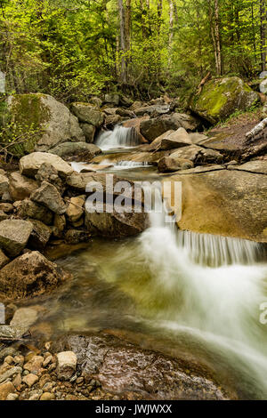 Dry Brook in spring along the Falling Waters Trail, Grafton Co., Franconia Notch State Park, Lincoln, NH Stock Photo