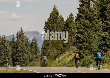 Mountain biking near Vail Pass Colorado Stock Photo