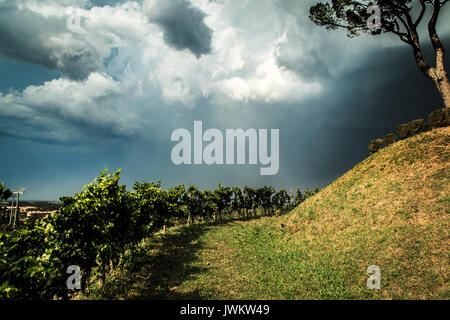 Storm is approaching the vineyards in the fields of Collio, Italy Stock Photo