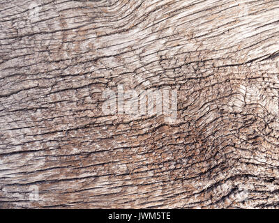 Old dry oak wood board texture background Stock Photo