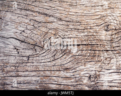 Old dry natural oak wood rustic background Stock Photo