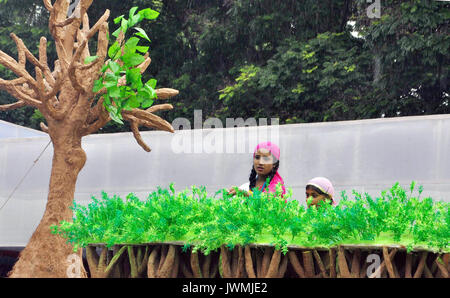 Kolkata, India. 12th Aug, 2017. Tableau of various department of state government participates during rehearsal of Independence Day parade in Kolkata. Full dress rehearsal of Independence Day parade held at Indira Gandhi Sarani or Red Road on August 12, 2017 in Kolkata. Credit: Saikat Paul/Pacific Press/Alamy Live News Stock Photo