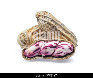 boiled peanut isolated on white background Stock Photo