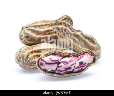 boiled peanut isolated on white background Stock Photo