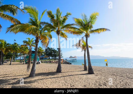 Scenic tropical sandy beach with palm trees, Townsville, Queensland, QLD, Australia Stock Photo