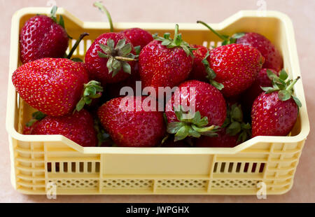 Strawberry in the yellow plastic box Stock Photo