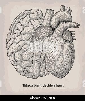Heart with half brain of human together. Hand drawn print. Design element. Tattoo black linear art. Decorative beautiful object isolated white backgro Stock Vector