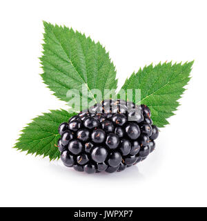 single fresh blackberry with leaf isolated on white background. Blackberry fruit Stock Photo