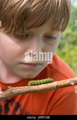 boy looking at caterpillar Stock Photo