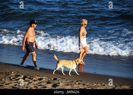 Senior couple walking along the beach with their dog, Mijas Costa, Malaga Province, Andalusia, Spain, Western Europe. Stock Photo