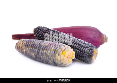 waxy corn, tropical plants isolated on white background Stock Photo