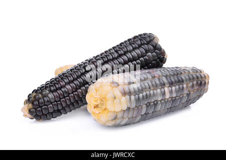 waxy corn, tropical plants isolated on white background Stock Photo